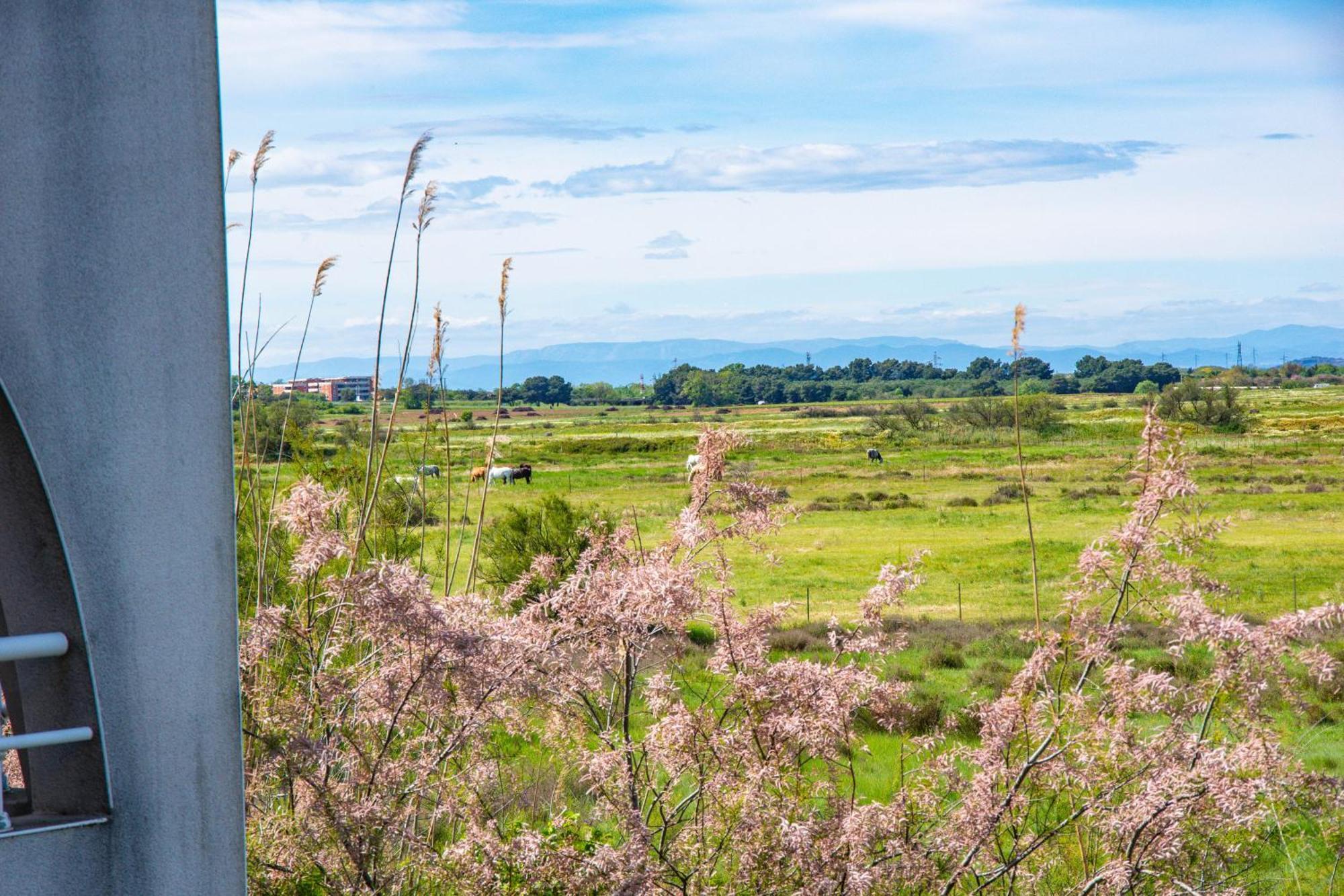 Aparthotel Hoteliere Natureva &